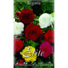 Bulbo Begonia doble mezcla 3 uds