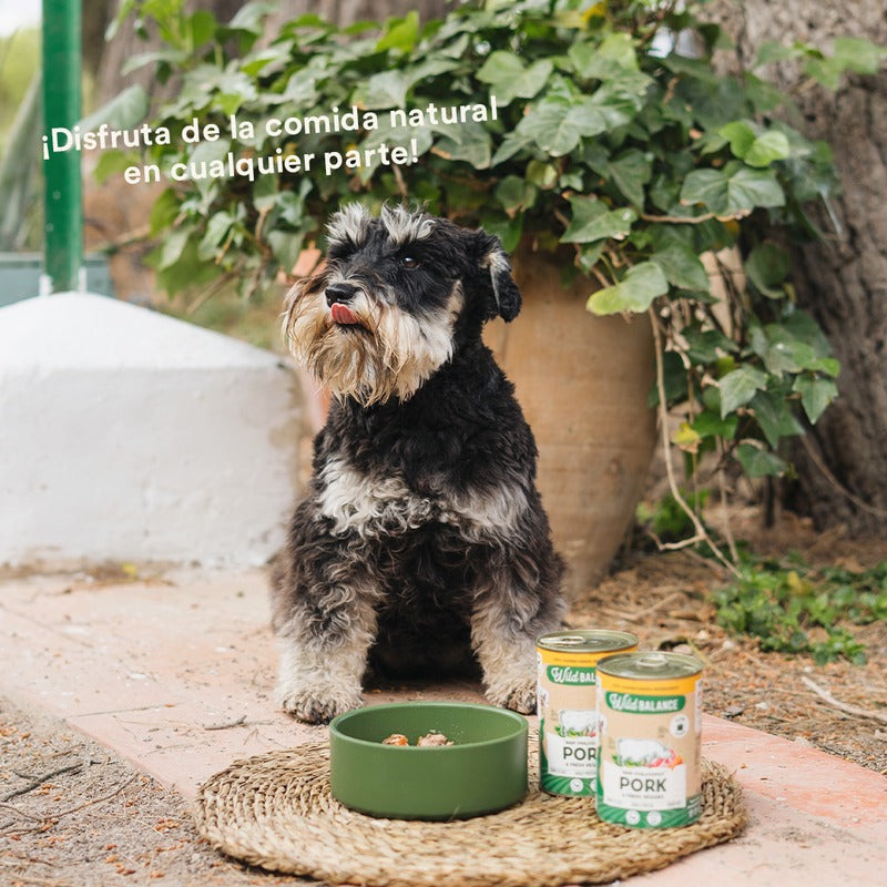 Pack Cerdo y verduras BARF para perros 6x400 g Wild Balance