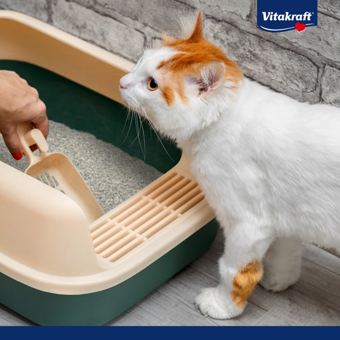 Vitakraft Compact Ultra Arena aglomerante 8 L