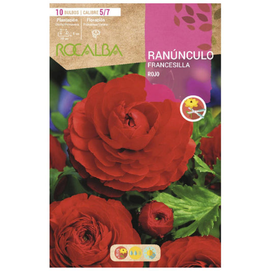 Bulbo Ranúnculo Francesilla rojo 10 uds Rocalba