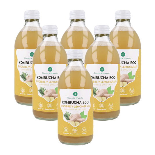Pack 6x Kombucha ECO Jengibre y lemongrass Planeta Huerto 330 ml