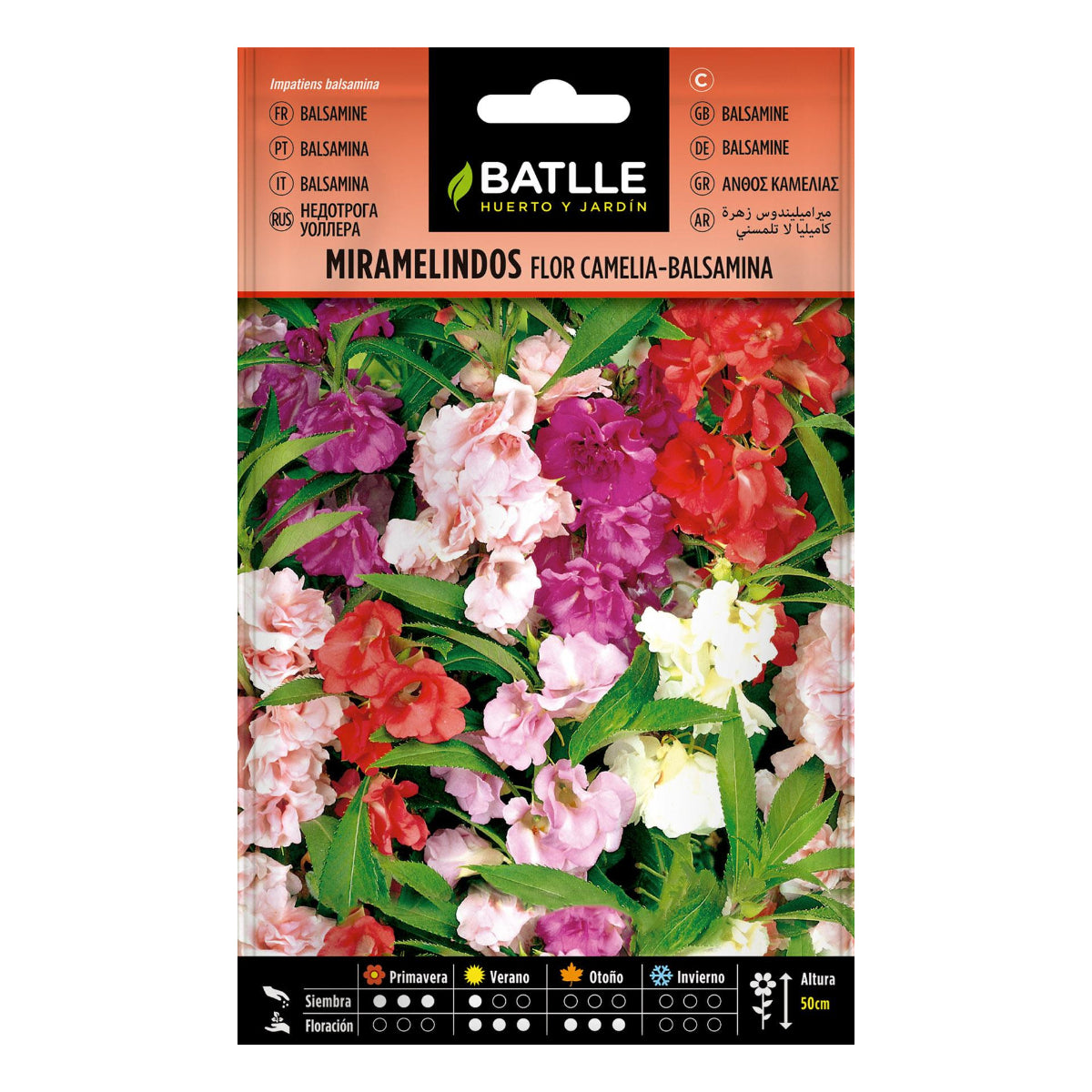 Semillas de Miramelindos flor Camelia Balsamia Batlle