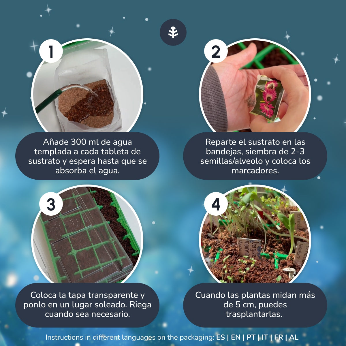 Calendario de Adviento de semillas con mini invernadero Planeta Huerto