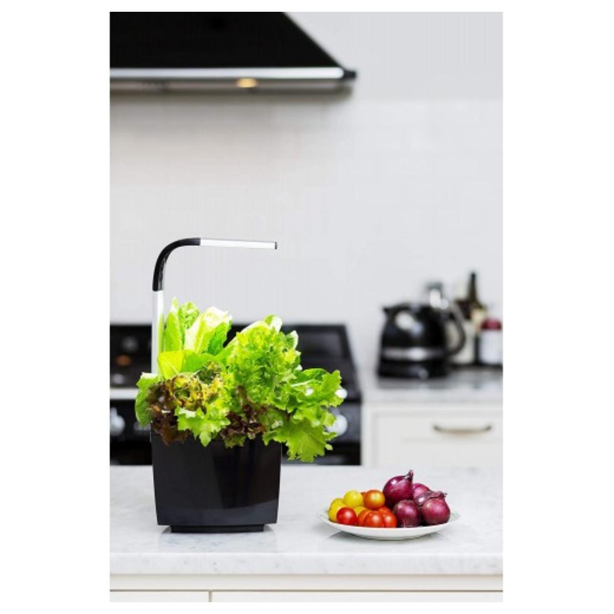 Maceta autocultivo T3 Kitchen Garden 20 x 17,5 cm