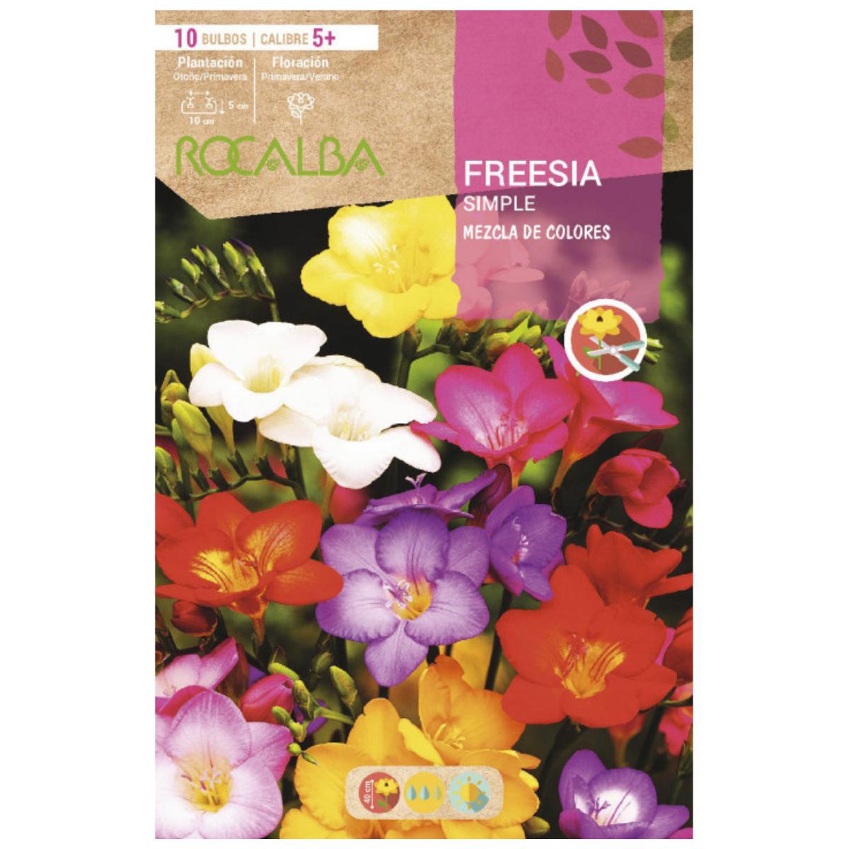 Bulbo Freesia simple mexzcla 10 uds Rocalba