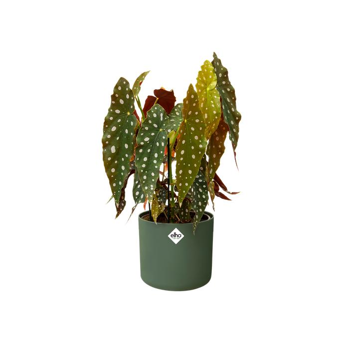 Macetero B.for Soft Round Elho Verde 18 cm