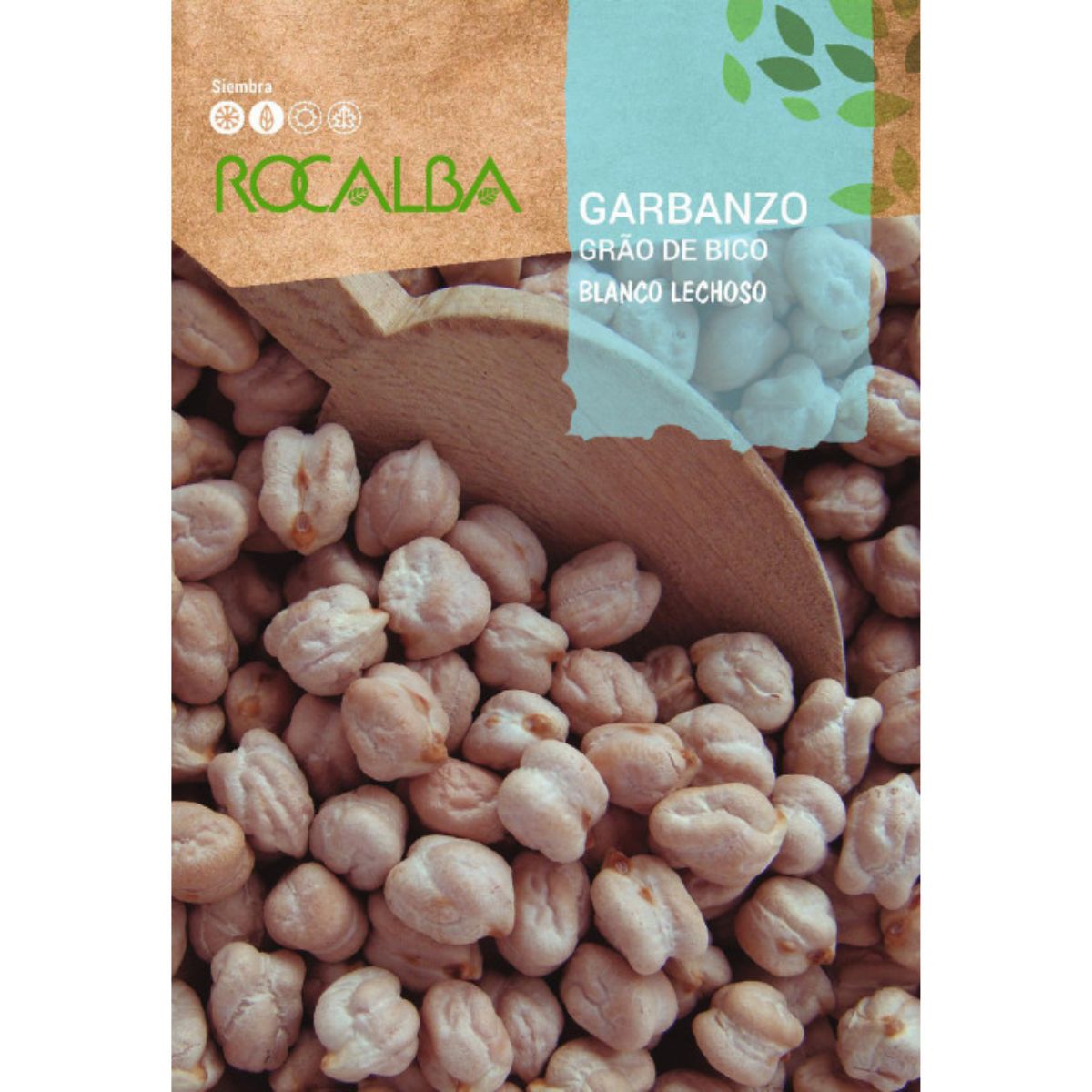 Semillas de Garbanzo blanco lechoso