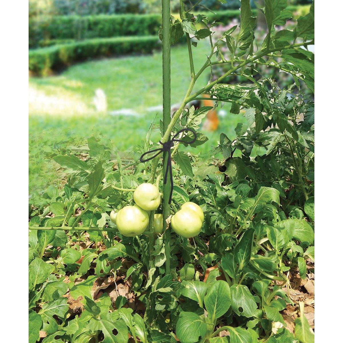 Tutor prolongable 90 cm Biotop 90 cm.