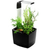 Maceta autocultivo T3 Kitchen Garden 20 x 17,5 cm Negro