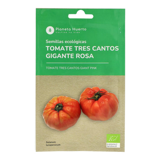 Semillas de Tomate tres cantos gigante rosa ecológicas Planeta Huerto