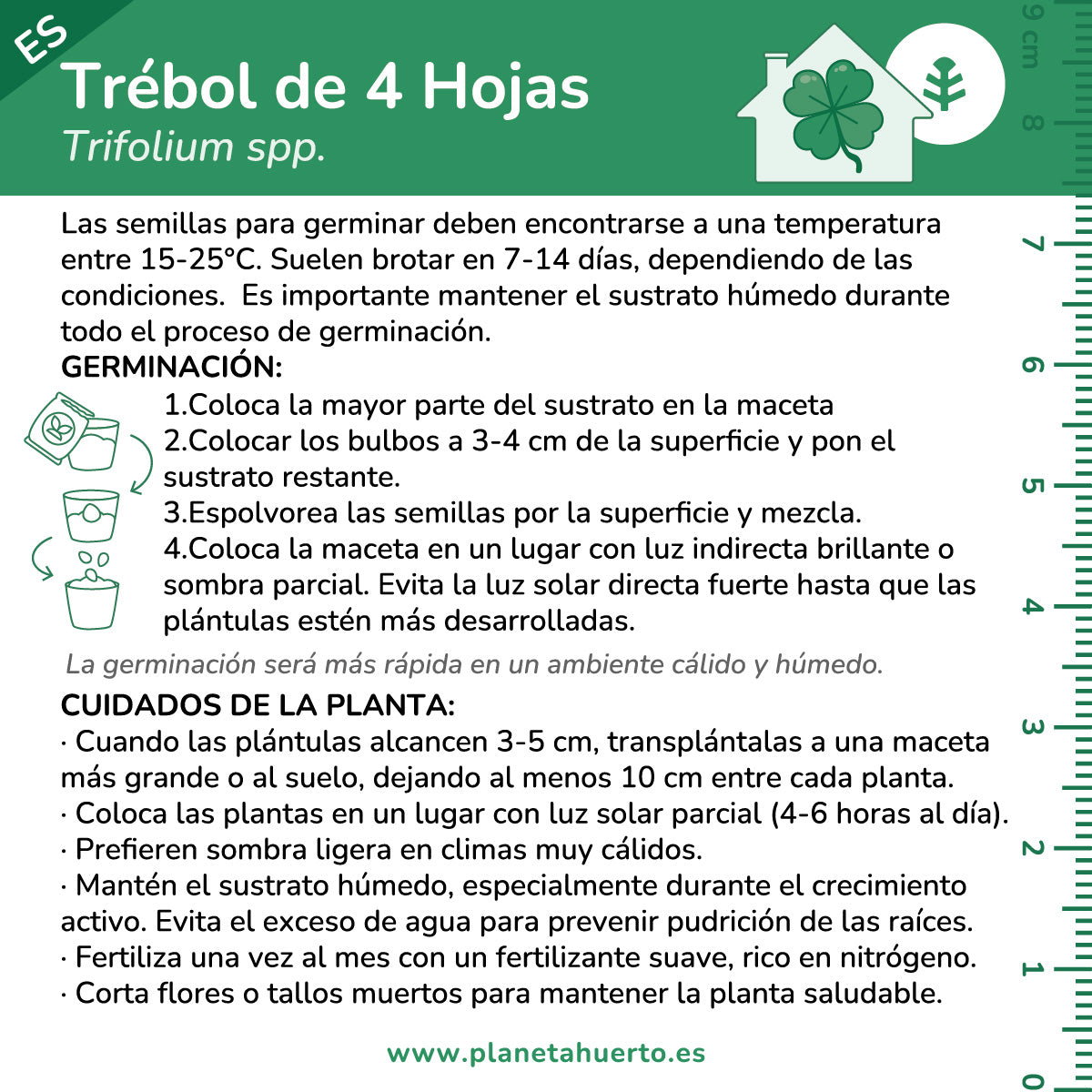 Kit de autocultivo Trébol de 4 hojas Planeta Huerto