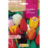 Bulbo Tulipán Jumbo mezcla 5 uds Rocalba