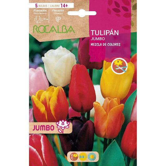 Bulbo Tulipán Jumbo mezcla 5 uds Rocalba