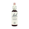 Bach 31 Vervain 20 Ml ( Flores De Bach Verbena) Bach