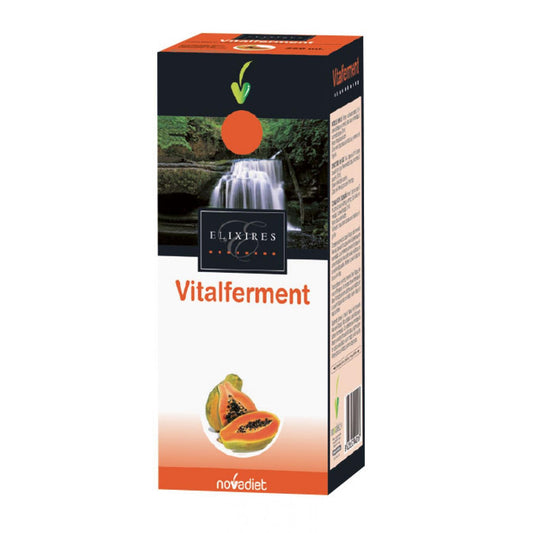 Vitalferment Jarabe Papaya 250 ml Novadiet