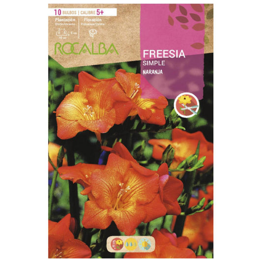Bulbo Freesia simple naranja 10 uds Rocalba
