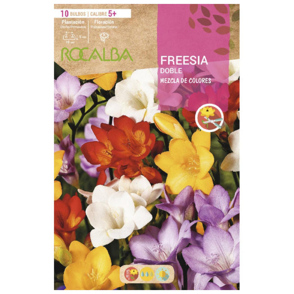 Bulbo Freesia doble mezcla 10 uds Rocalba