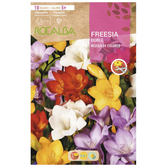 Bulbo Freesia doble mezcla 10 uds Rocalba