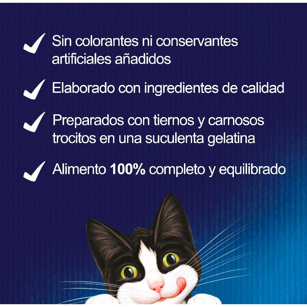 FELIX Fantastic Selección de Sabores en Gelatina pack surtido 44 x 85 g Gato