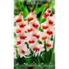 Bulbo Gladiolo crema centro rojo 10 uds