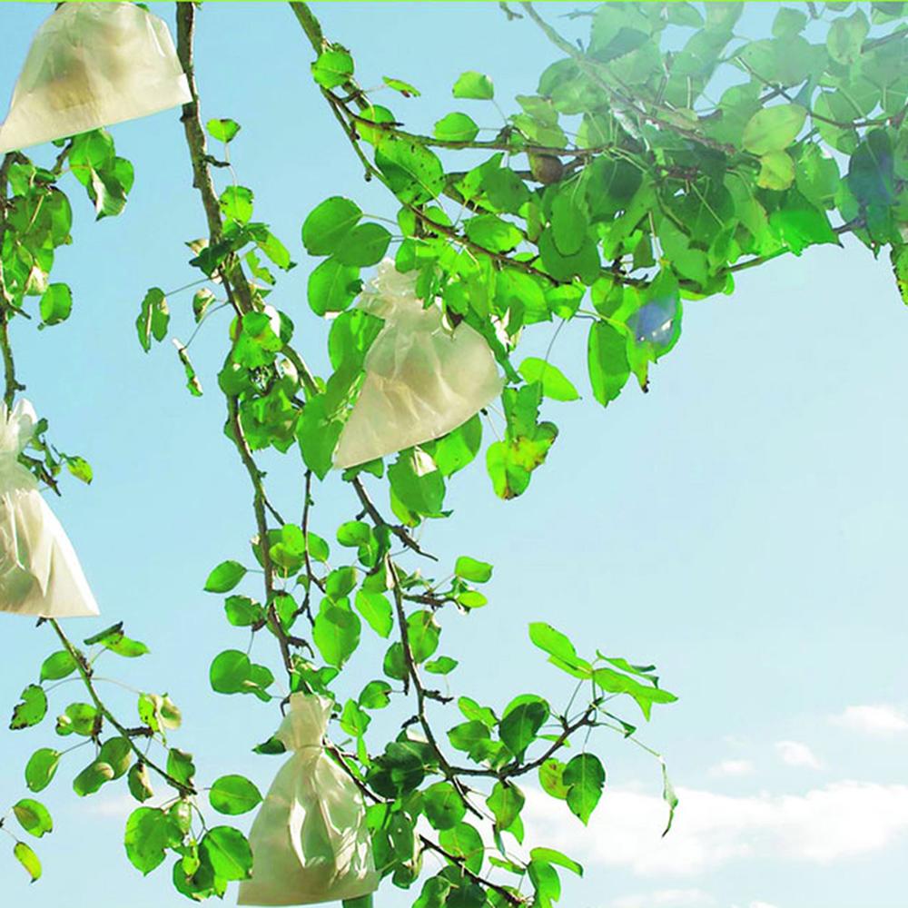 Fundas protectoras para frutos Fruitsac Nortene 50 ud 20 x 30 cm.