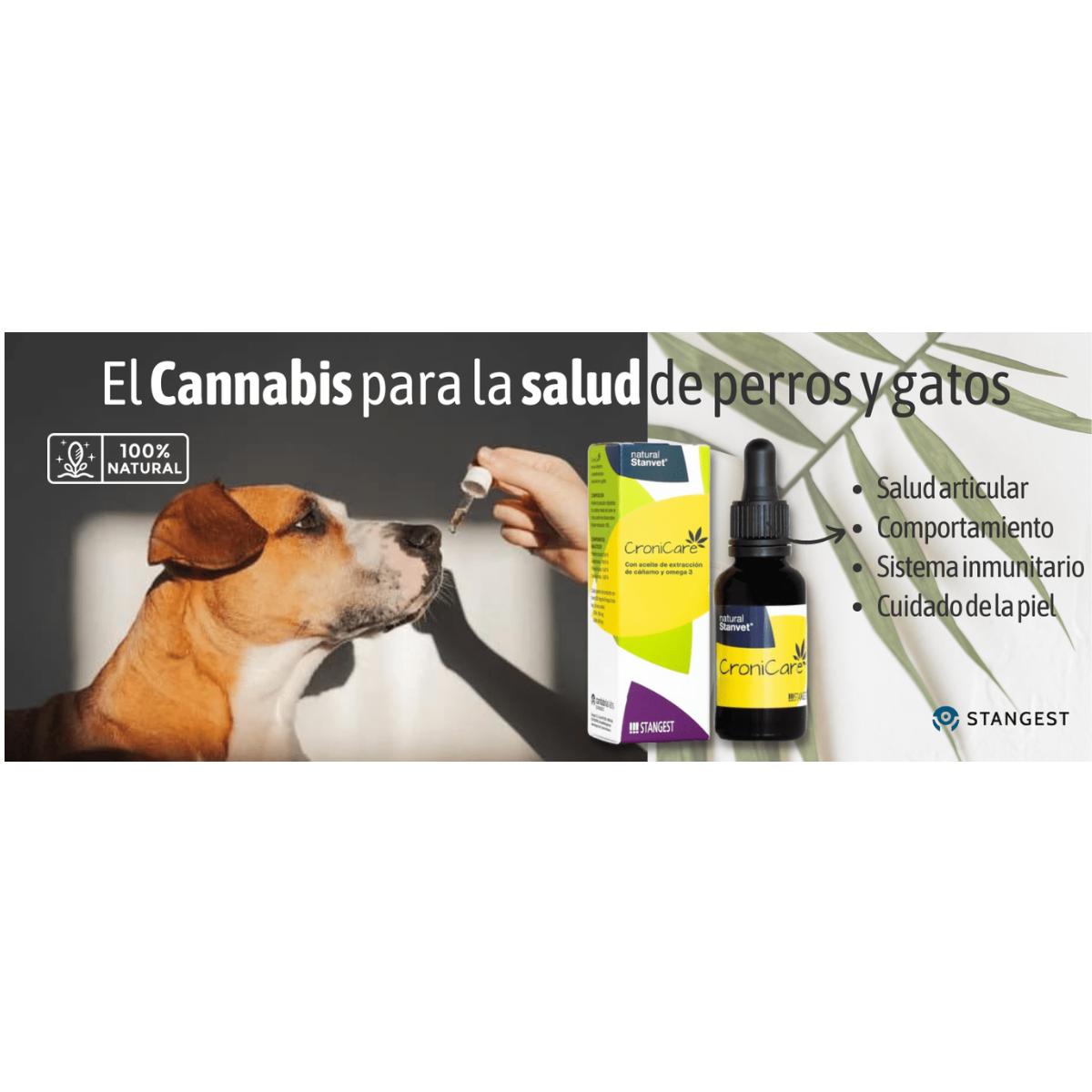 Cronicare Oil Stangest 30 ml