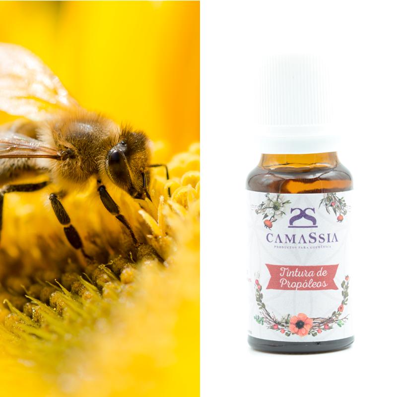 Tintura de propóleos Camassia, 10 ml