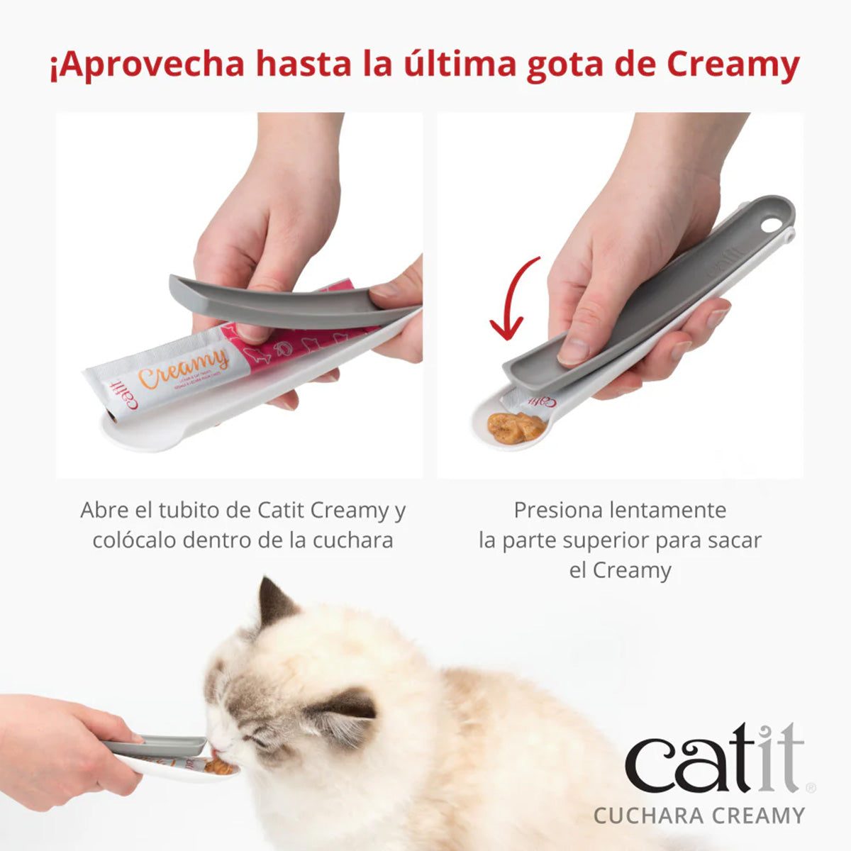 Cuchara para snacks Creamy Catit