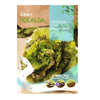 Semillas de Lechuga Maravilla de Verano en cinta, Rocalba