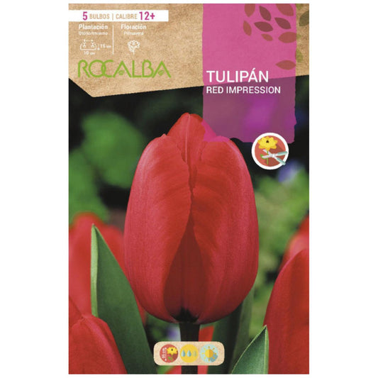 Bulbo Tulipán Red Impression rojo 5 uds Rocalba