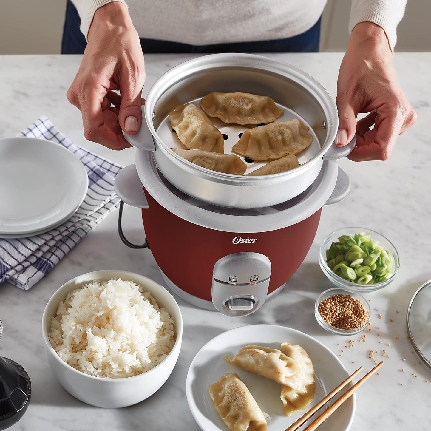 Arrocera Vaporera CKSTRC4723 0.6 L Oster