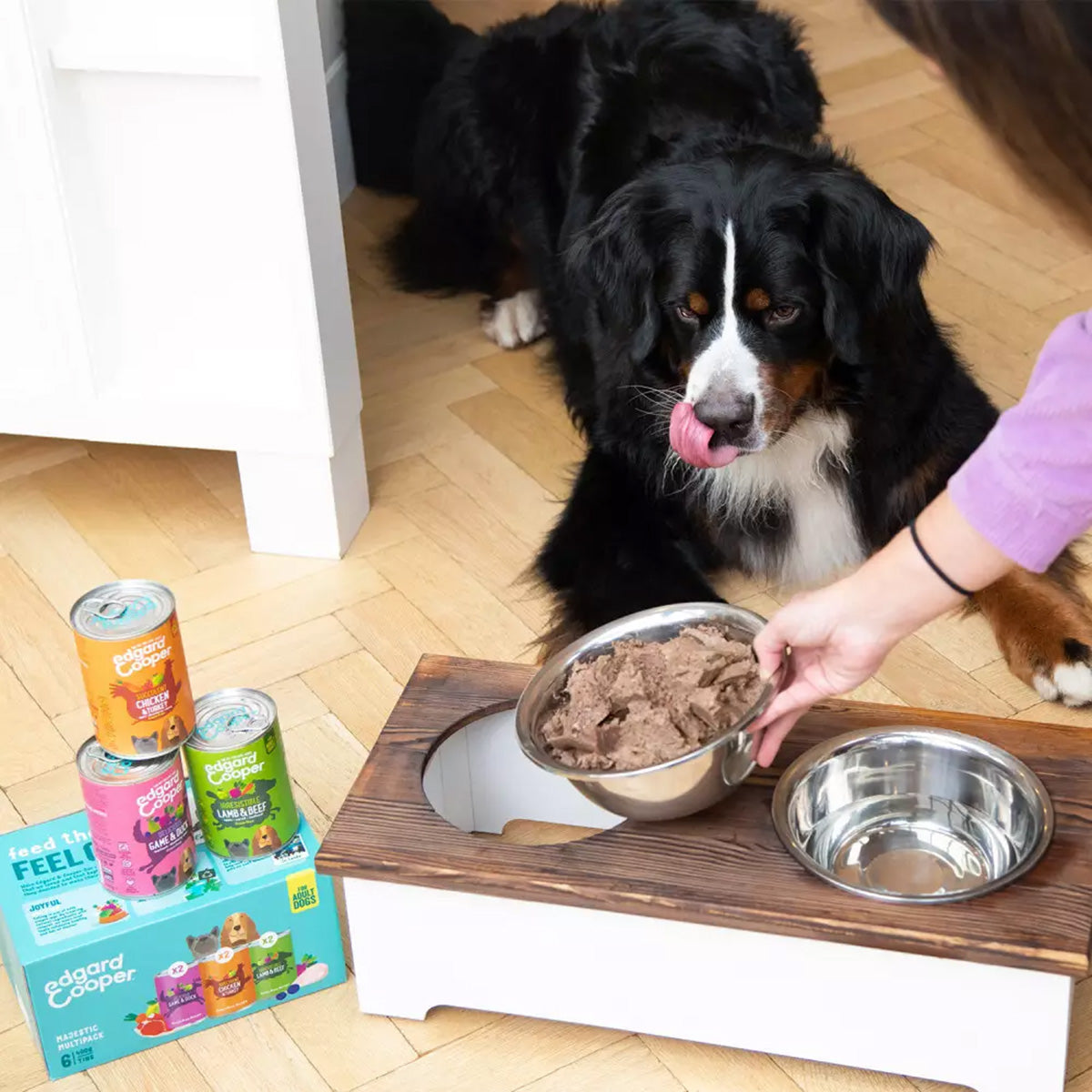Multipack Comida húmeda para perros Edgard & Cooper 6 x 400 g