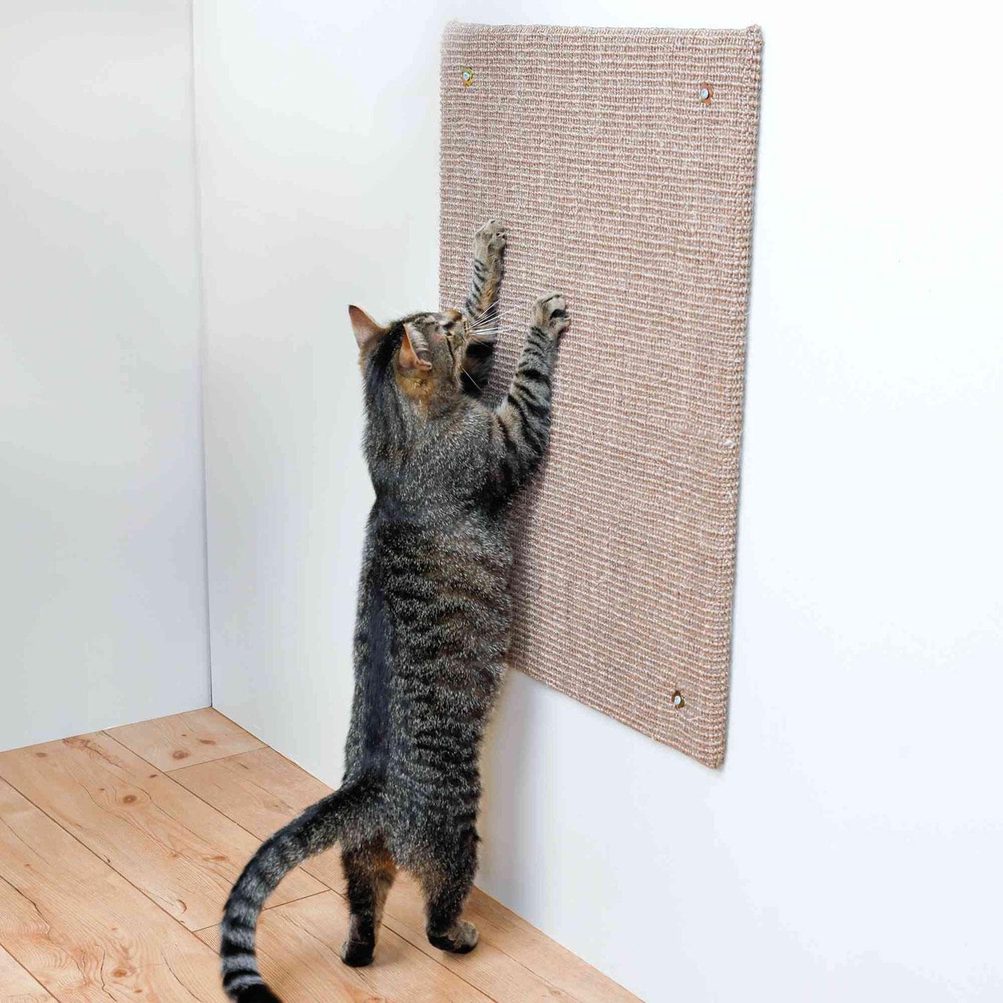 Trixie Tabla Rascadora para gatos 50 × 70 cm