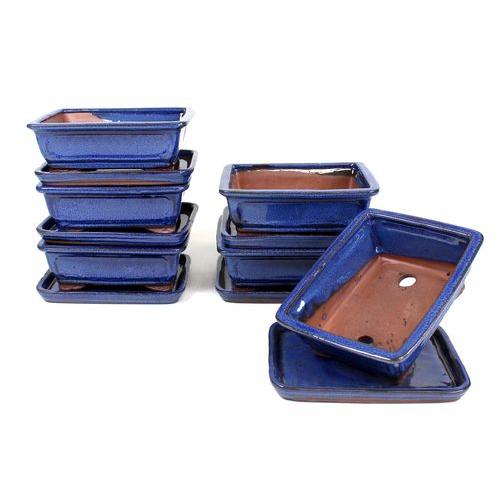 Tiesto bonsáis rectangular 20 cm con plato azul