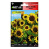 Semillas de Girasol Waooh amarillo Batlle