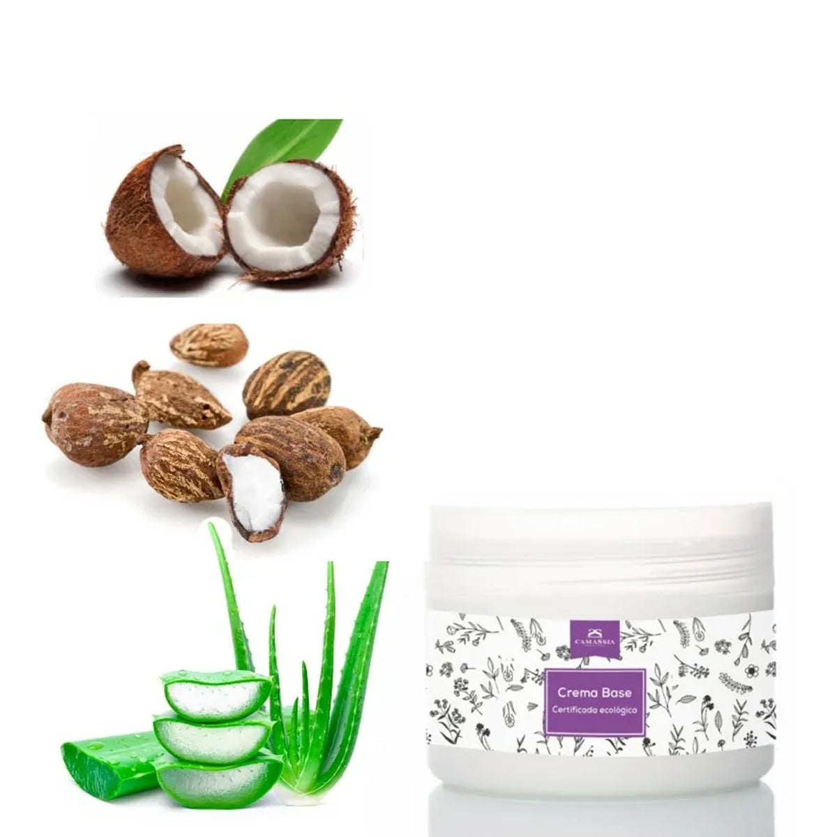 Crema Base certificada ecológica, Camassia, 1000ml