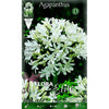 Bulbo Agapanthus blanco 1 ud