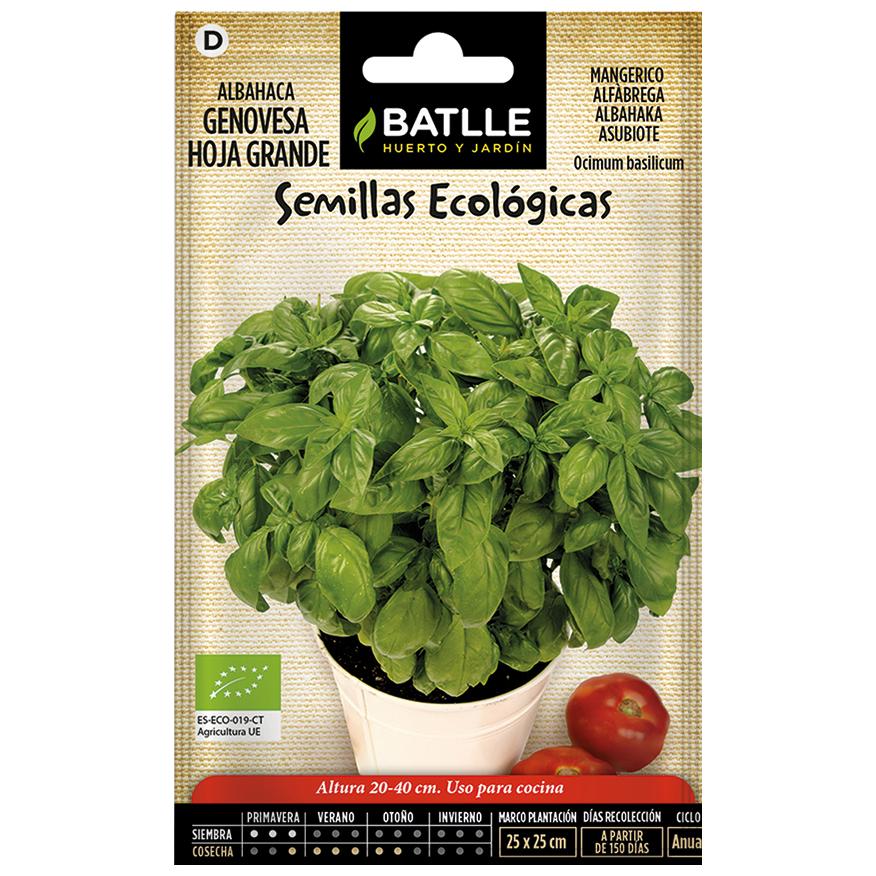 Semillas ecológicas de Albahaca genovèse hoja grande Batlle