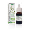 Extracto de Artemisa XXI Soria Natural, 50 ml