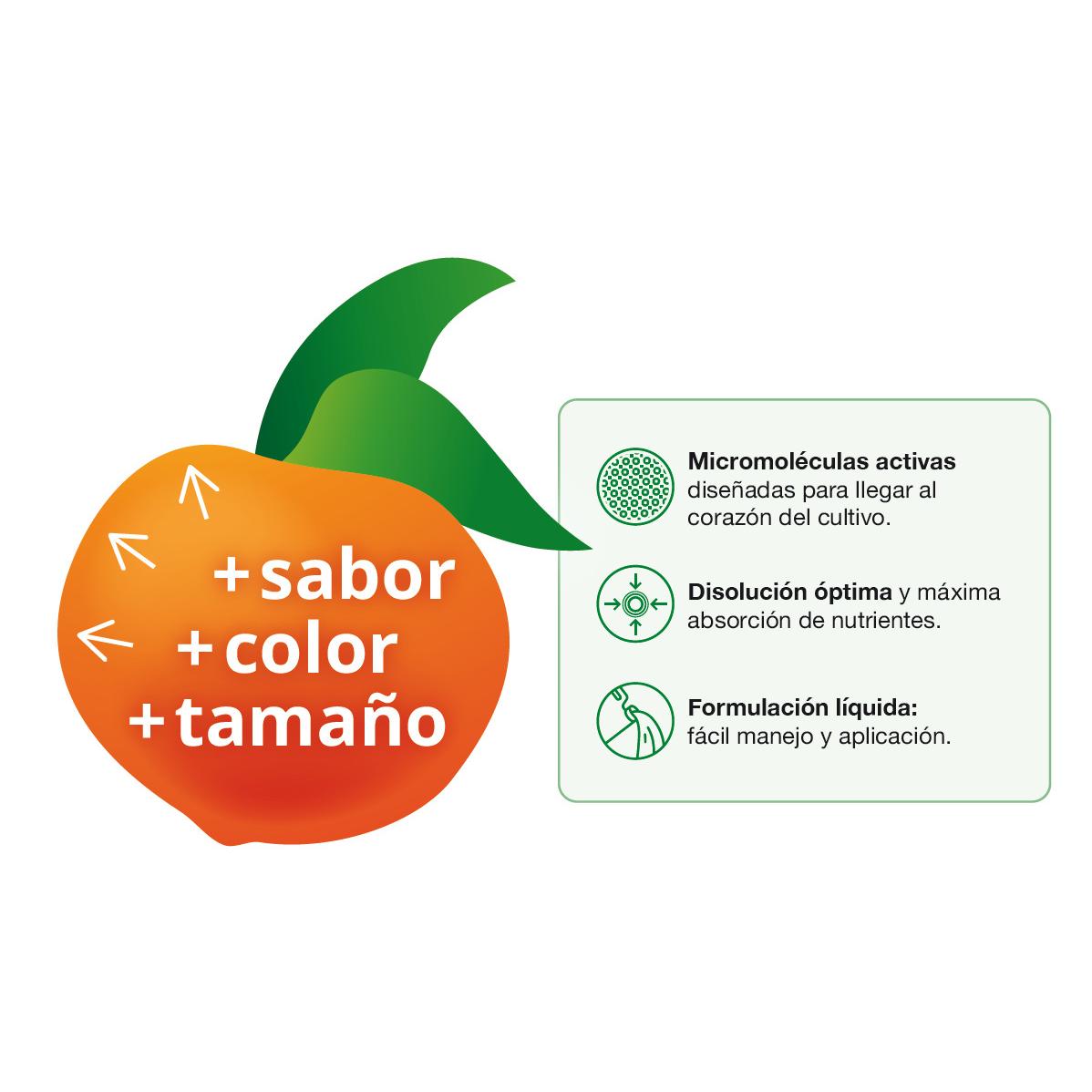 Filer Flow Engorde de frutos Seipasa 250 ml