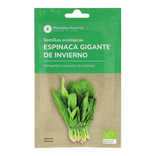 Semillas de Espinaca gigante de invierno ecológicas Planeta Huerto