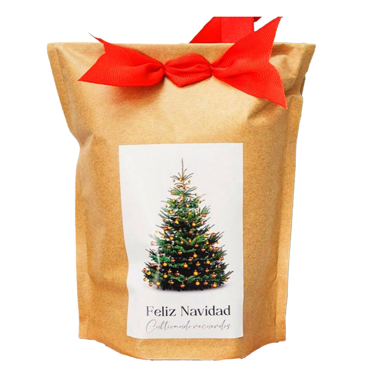 Kit Cultivo Pino Navideño en Kraft, Regalo Inolvidable Garden Pocket