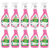 Pack 10x Spray antical frambuesa Frosch 500 ml