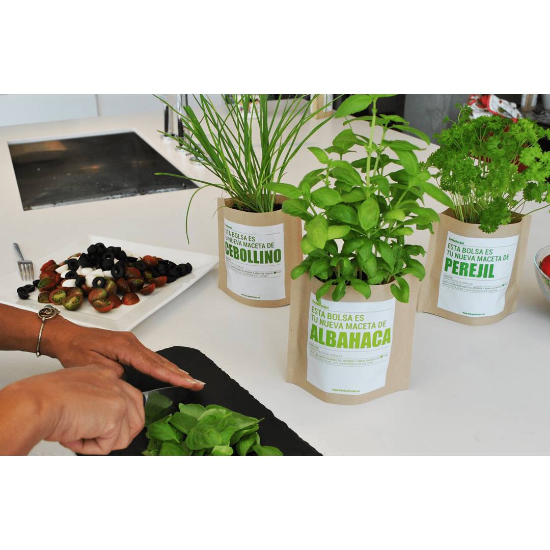 Kit huerto de aromáticas pocket: Menta