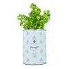 Kit de cultivo aromáticas Perejil Planeta Huerto