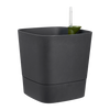Macetero con autoriego Greensense Aquacare Square Elho 30 cm charcoal grey