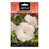 Semillas de Petunia compacta blanca