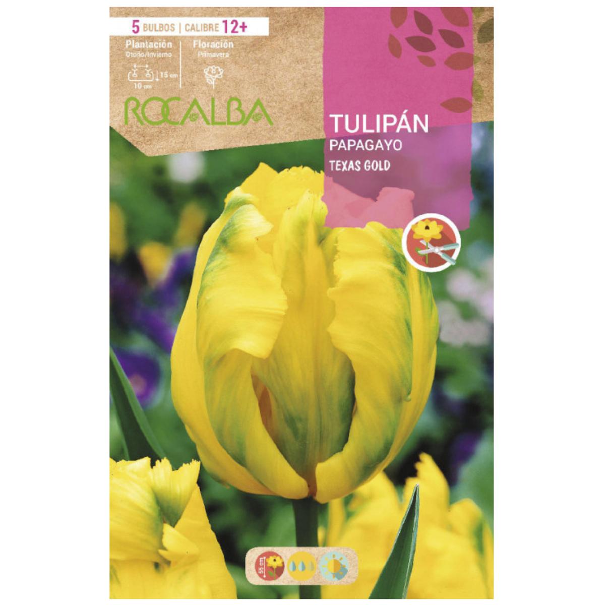 Bulbo Tulipán Papagayo Texas Gold amarilo 5 uds Rocalba