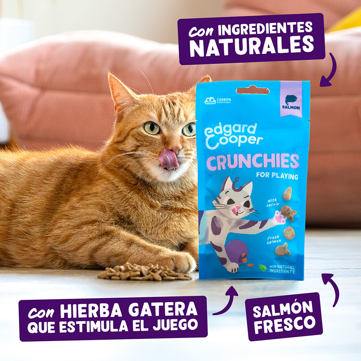 Galletitas de Salmón Premios naturales para gatos Edgard Cooper 50 g