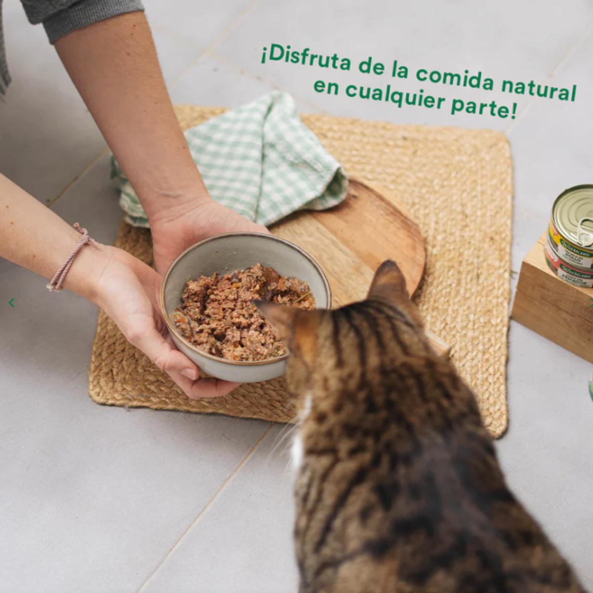Lata completa Estofado de Mercado con Pavo y Ternera para Gatos Wild Balance 80gr
